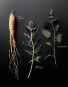KORIKA Korean Heritage Ginseng & Marine Stem Cells Firming Eye Patch Mask masca pentru fermitate zona ochilor 2 buc