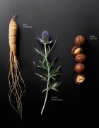 KORIKA Korean Heritage Ginseng & Marine Stem Cells Youth Elixir Cream crema hranitoare cu antioxidanti pentru intinerirea pielii 50 ml