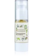 Kvitok Cream with Cannabis Oil with Burdock and B5 crema de noapte pentru ten gras 30 ml