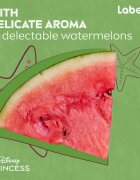 Labello Disney Princess Watermelon Shine Balsam de buze hidratant 4.8 g