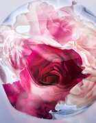 Lancôme La Vie Est Belle Rose Extraordinaire Eau de Parfum pentru femei 50 ml