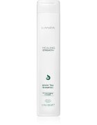 L'anza Healing Strength White Tea Shampoo șampon pentru parul deteriorat si fragil 300 ml
