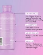 Lee Stafford Bleach Blondes Everyday Care șampon pentru par blond 250 ml