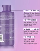 Lee Stafford Bleach Blondes Toning Conditioner balsam nuanțator pentru parul blond cu suvite 250 ml