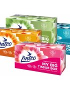 Linteo Paper Tissues Two-ply Paper 200 pcs per box batiste de hârtie 200 buc
