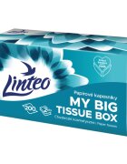 Linteo Paper Tissues Two-ply Paper 200 pcs per box batiste de hârtie 200 buc