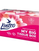 Linteo Paper Tissues Two-ply Paper 200 pcs per box batiste de hârtie 200 buc