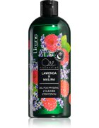 Lirene Shower Gel gel de dus hidratant cu uleiuri esentiale 400 ml