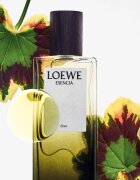 Loewe Esencia Elixir parfum pentru bărbați 50 ml
