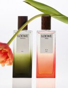 Loewe Esencia Elixir parfum pentru bărbați 50 ml