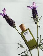 Loewe Miniature Set set cadou unisex