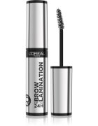 L’Oréal Paris Infaillible 24h Brow Lamination Gel de fixare transparent pentru sprâncene culoare Transparent 6 ml