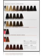 L’Oréal Professionnel Inoa ODS2 culoare par culoare 6 60 g