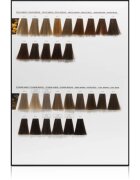 L’Oréal Professionnel Inoa ODS2 culoare par culoare 6 60 g