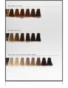 L’Oréal Professionnel Inoa ODS2 culoare par culoare 63 Fundamental 60 g