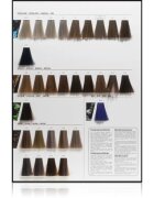 L’Oréal Professionnel Inoa ODS2 culoare par culoare 63 Fundamental 60 g