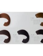 L’Oréal Professionnel Richesse de Diacolor Culoare permanenta pentru par culoare 640 50 ml