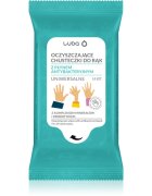 Luba Antibacterial Wet Wipes Servetele umede de maini 15 buc