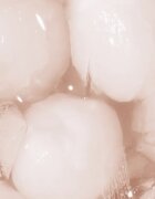 LYSS Fresh Lychee pastă de dinți 60 ml