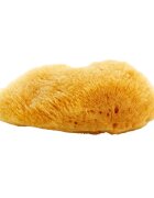 Magnum Natural Burete de mare Caraibe 10- 12 cm