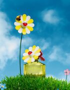 Marc Jacobs Daisy Murakami Eau de Parfum pentru femei 50 ml