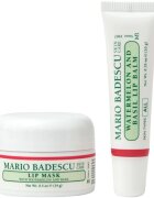 Mario Badescu Lip Care Duo set cadou de buze