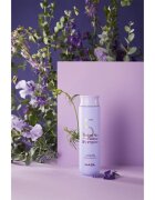 MASIL 5 Salon No Yellow sampon violet neutralizeaza tonurile de galben 300 ml