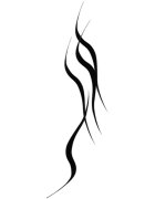 MAYBELLINE NEW YORK Tattoo Liner gel contur ochi de lungă durată cu pensula culoare 950 Blackest Black 3 g