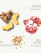 Medavita Requilibre Sebum-Balancing Set set cadou pentru păr