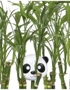 Melii Snack Container caserolă de mâncare Panda 232 ml