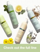 milk_shake® Scalp Care Normalizing Blend șampon pentru par normal spre gras fără sulfat 300 ml