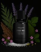 Miraculum Noir Majesty Figure Eau de Parfum pentru bărbați 50 ml