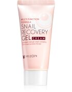 Mizon Multi Function Formula Snail gel pentru fata cu extract de melc 45 ml