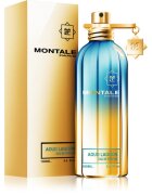 Montale Aoud Lagoon Eau de Parfum unisex 100 ml