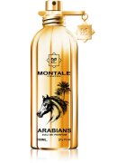 Montale Arabians Eau de Parfum unisex 100 ml