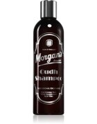 Morgan's Oudh Shampoo șampon pentru păr pentru bărbați 250 ml