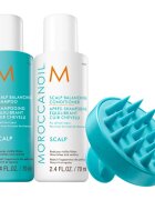 Moroccanoil Scalp Discovery Set set pentru un scalp seboreic antimătreață