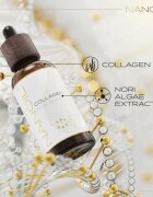 Nanoil Collagen ser antirid cu colagen cu extract din alge nori 50 ml