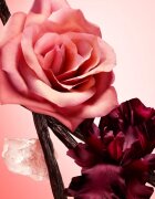 Narciso Rodriguez all of me intense Eau de Parfum rezervă pentru femei 150 ml