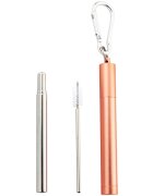 Naturalis Stainless Steel Straw Telescopic set pentru utilizarea de zi cu zi