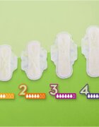 Naturella Normal Plus absorbante 18 buc