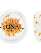 NeoNail Dried Flowers flori uscate pentru unghii culoare Orange 1 buc