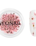 NeoNail Dried Flowers flori uscate pentru unghii culoare Pink 1 buc