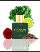 Nishane Favonius extract de parfum unisex 100 ml