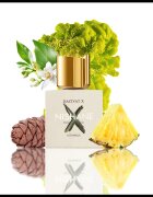 Nishane Hacivat X extract de parfum unisex 100 ml