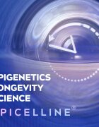 Nivea Cellular Epigenetics crema de noapte cu efect de intinerire 50 ml