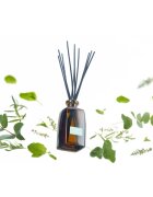 Notino Reed Diffuser Eucalyptus & Mint difuzor de aroma 250 ml