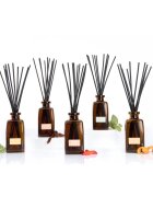 Notino Reed Diffuser Vanilla & Rose difuzor de aroma 250 ml