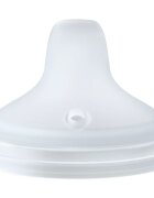 NUK Perfect Match Spare Spout capac de rezervă cu băutor 6m+ 2 buc