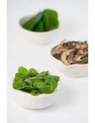 Numbuzin No. 1 Centella Re-Leaf Green Toner Pad dischete de tonifiere pentru netezirea pielii 70 buc